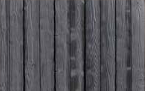 Black Oak