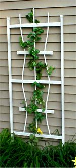 Nostalgic Nantucket Arbor