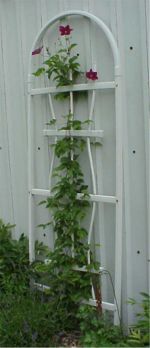 Grand Winchester Arbor