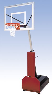 Fury basketball goals