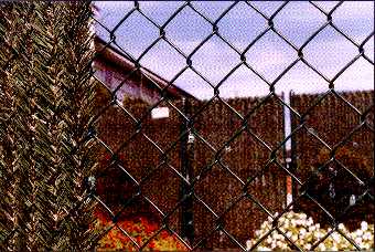 chain and Permahedge.jpg (23997 bytes)