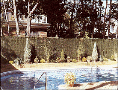 hedge_slats_pool.jpg (20537 bytes)