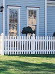 Cape Cod